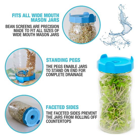 Jar Sprouting Kit With Seeds Sk T W